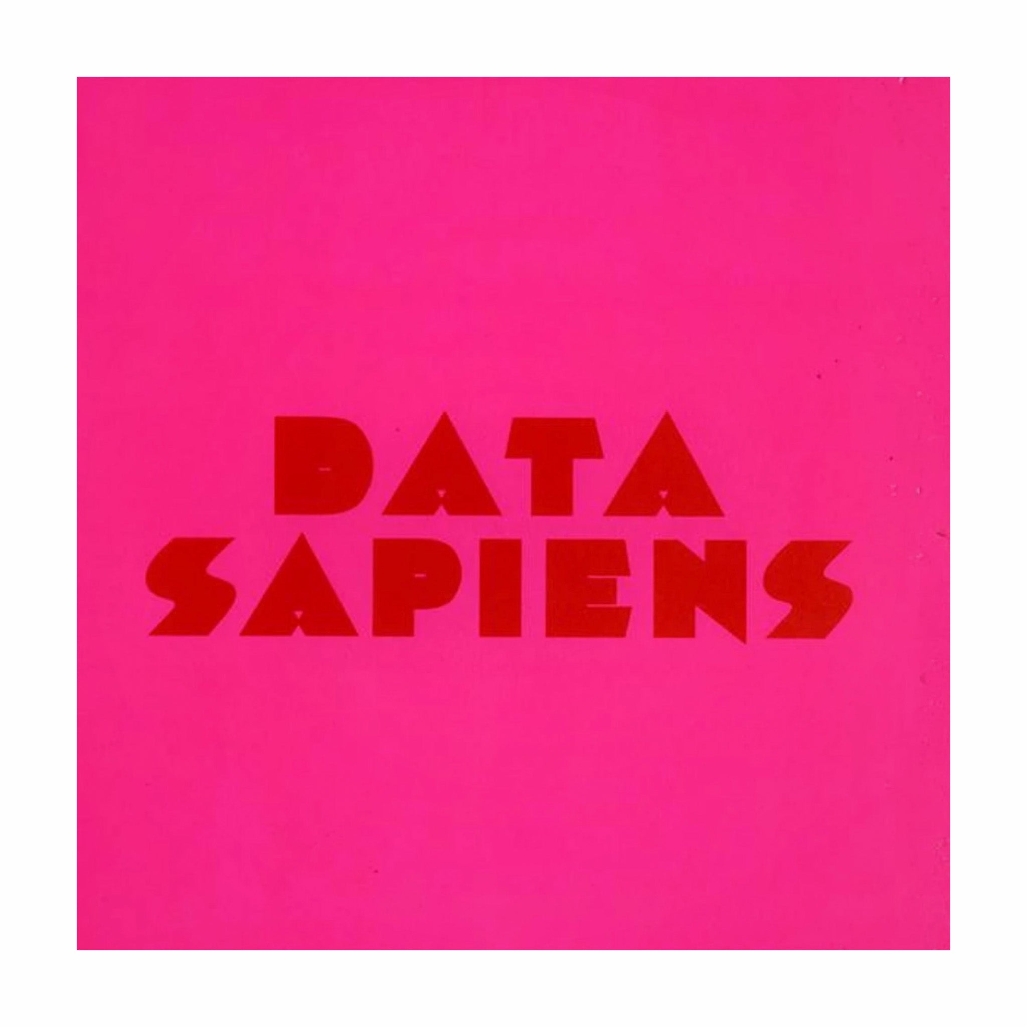 In vinile, Discemi "Data Sapiens" 12"
